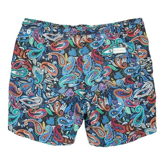Bluemint Swim Short Classic Signature Arthus Paisley Print Mens Small - Picture 2 of 3